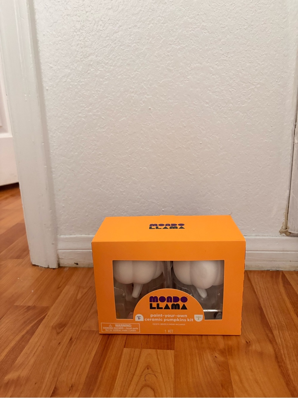 Target Paint-Your-Own Ceramic Pumpkin Kit - White